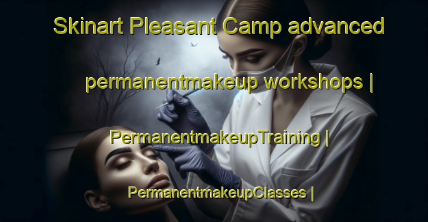 Skinart Pleasant Camp advanced permanentmakeup workshops | PermanentmakeupTraining | PermanentmakeupClasses | SkinartTraining-Canada
